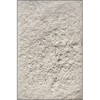 Fish Powder - 0268 (CAT3)
