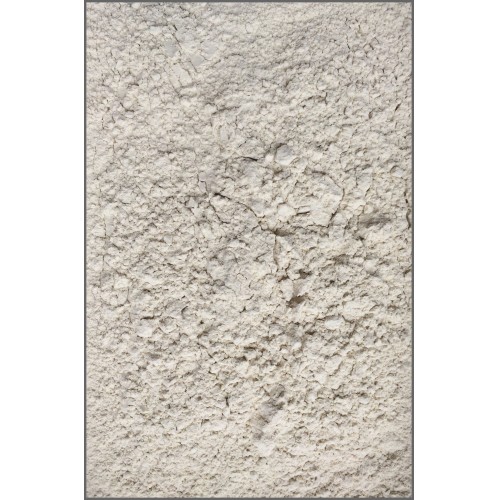 Fish Powder - 0268 (CAT3)